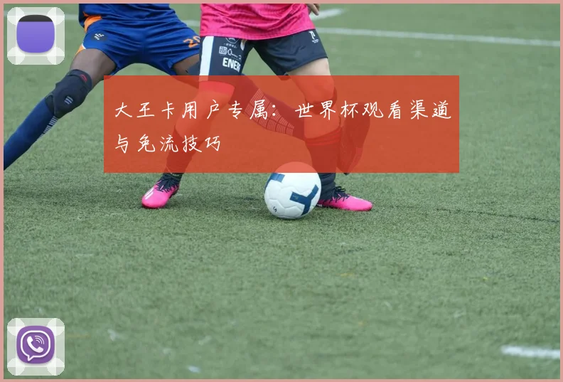 大王卡用户专属：世界杯观看渠道与免流技巧